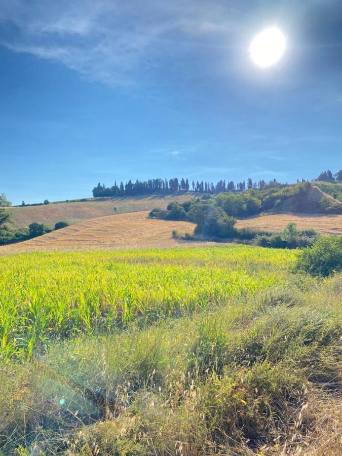 Agriturismo I Moricci Peccioli Buitenkant foto