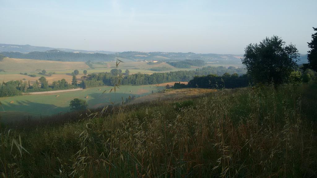 Agriturismo I Moricci Peccioli Buitenkant foto